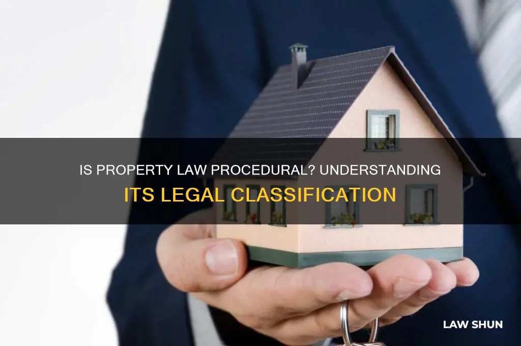 is property part of procedual law