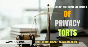 The Right to Privacy: Common Law Protection