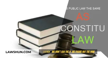 Public Law vs. Constitutional Law: What's the Difference?