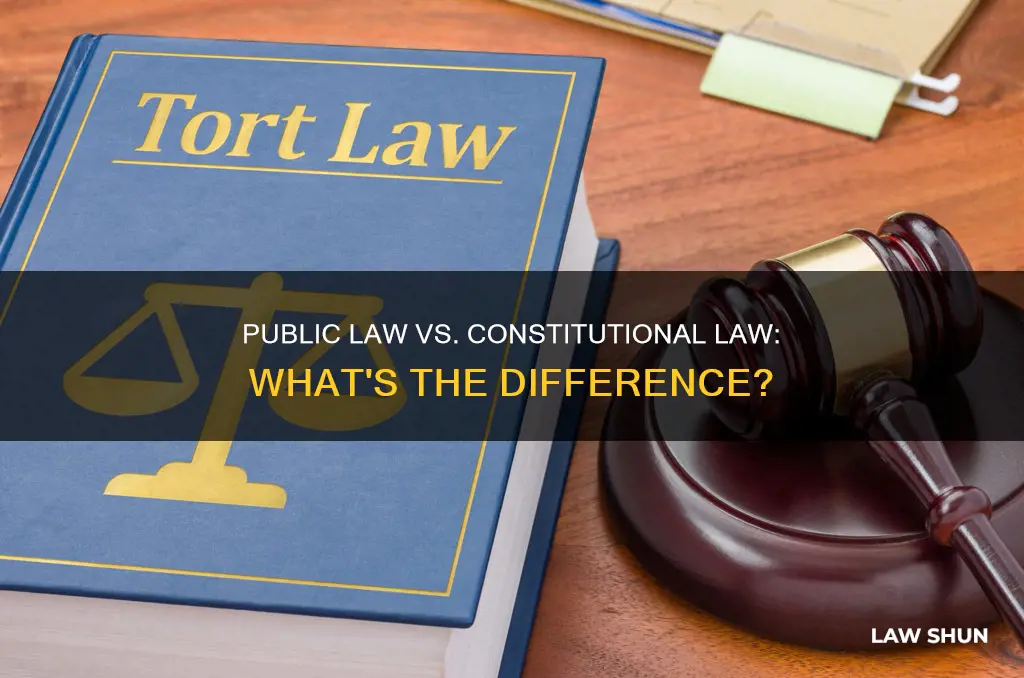 is public law the same as constitutional law