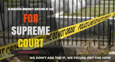 Qualified Immunity: A Supreme Court Legal Question or Judicial Dilemma?
