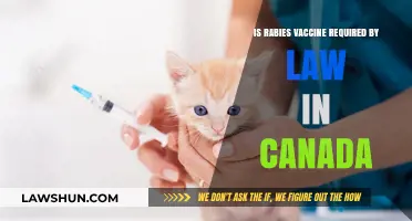 Rabies Vaccination: Canadian Law and Your Pet