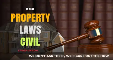 Understanding Real Property Laws: Are They Civil or Something Else?