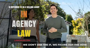 Understanding the Role of a Selling Agent in Agency Law