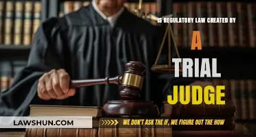 How Trial Judges Influence Regulatory Law