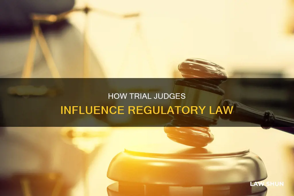 is regulatory law created by a trial judge