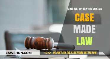 Regulatory Law vs. Case Law: What's the Difference?
