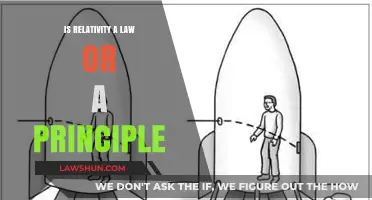 Is Relativity a Law or Principle? Unraveling Einstein's Legacy