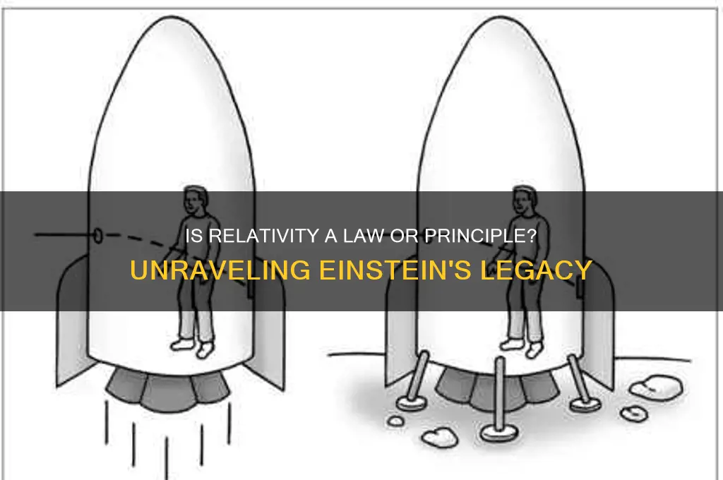 is relativity a law or a principle