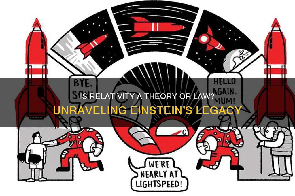 is relativity a theory or law