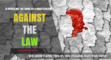 Revealing Whistleblower Names: Legal Boundaries and Protections Explained