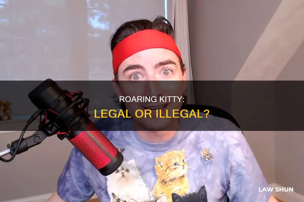 is roaring kitty breaking the law