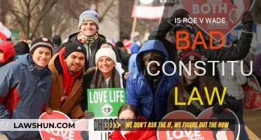 Roe v. Wade: Constitutional Flaw or Legal Triumph?