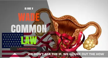 Roe v. Wade: Common Law or Not?
