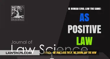 Roman Civil Law vs. Positive Law: Understanding the Key Differences