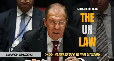 Russia's Actions: Violating UN Law?