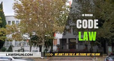 Is Russia a Civil Law Country? Exploring Its Legal System