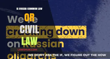 Russia's Legal System: Civil or Common Law?