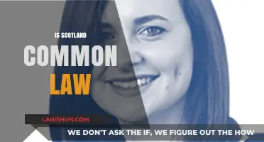 Common Law in Scotland: Understanding the System