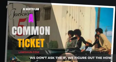 Scotts Law: Common Ticket or Uncommon Sense?