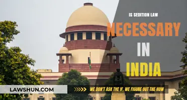 Sedition Law: India's Necessary Evil?