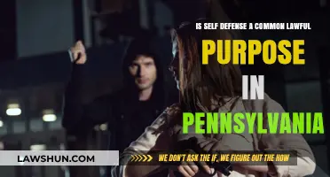Self-Defense Law in Pennsylvania: Understanding the Legal Boundaries