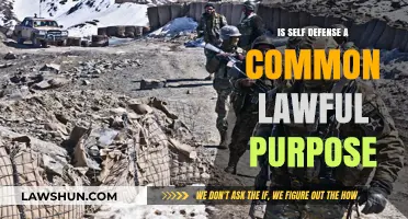 Self-Defense Law: When is it Justified?
