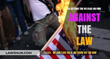 Is Flag Burning Legal? Exploring the US Flag Desecration Debate