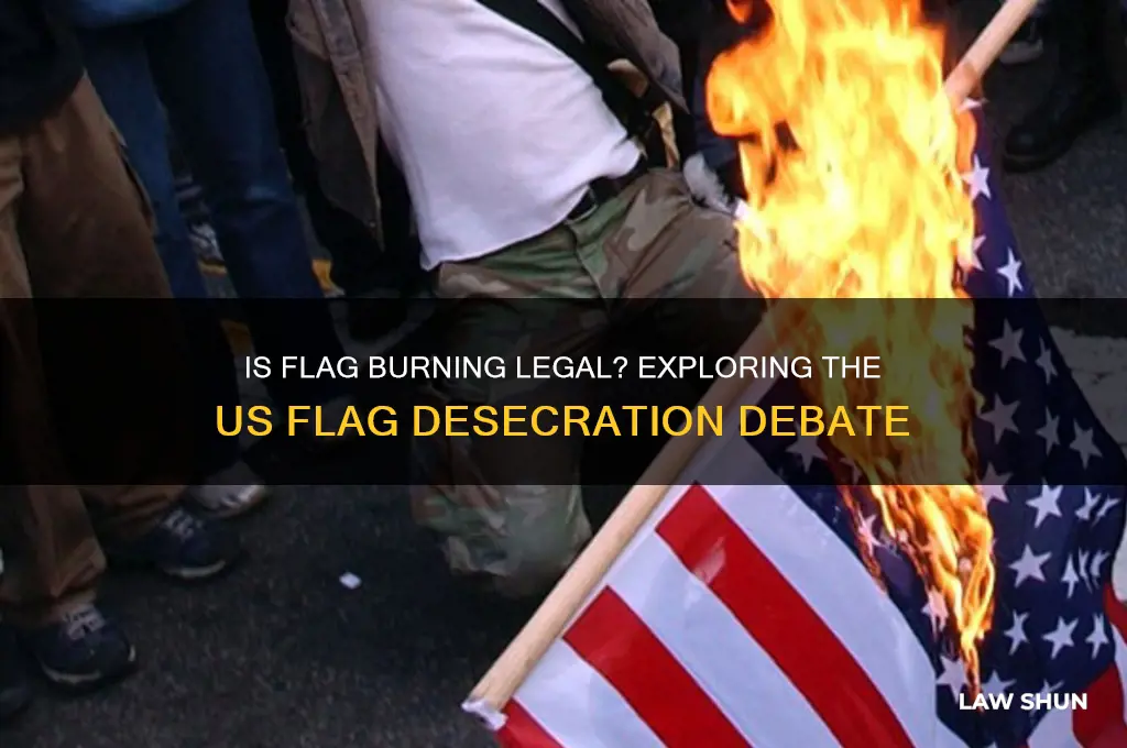 is setting the us flag on fire against the law