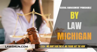 Is Sexual Harassment Punishable by Law in Michigan? Key Facts