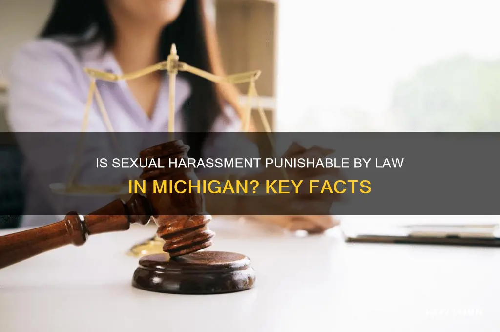 is sexual harassment punishable by law michigan