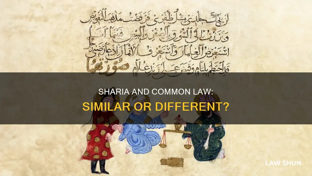 is sharia law the same as common law