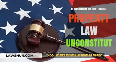 Is Shortening US Intellectual Property Law Unconstitutional?