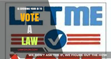 Is Voter ID Required by Law? Understanding Voting Identification Rules