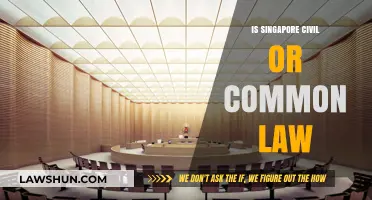 Civil or Common Law: Singapore's Legal System Explained