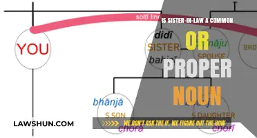 Understanding Proper Nouns: Sister-in-Law Classification