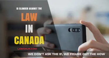 Slander in Canada: What's the Law?