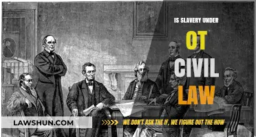 Slavery Under Civil Law: Historical Context and Modern Legal Perspectives