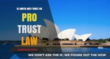 Smith's Stance: Anti-Trust or Pro-Trust Law Advocate?