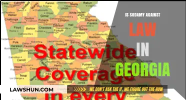 Is Sodomy Legal in Georgia? Understanding the Current Laws