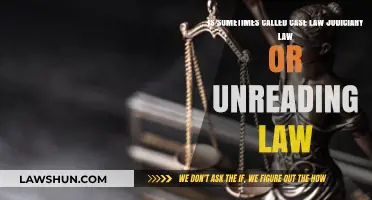 Case Law: Understanding Unwritten Judiciary Laws
