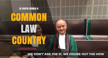 South Africa's Legal System: Common Law Roots