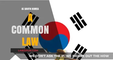 South Korea: A Civil Law or Common Law Country?