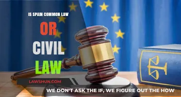 Civil or Common Law: Spain's Legal System