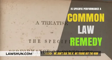 Specific Performance: A Common Law Remedy?