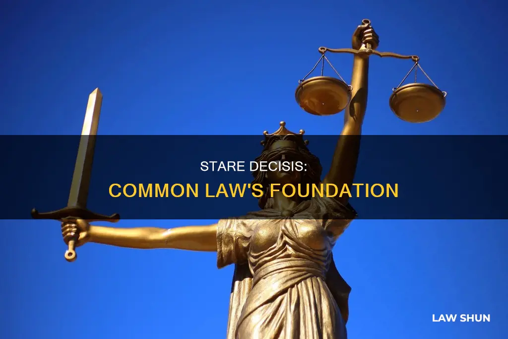 is stare decisis common law doctrine