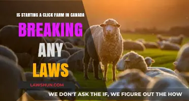 Click Farms: Legal in Canada?