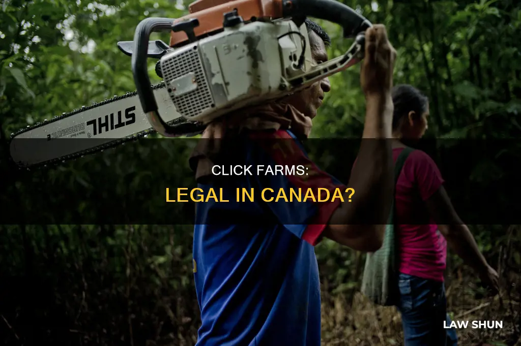 is starting a click farm in canada breaking any laws