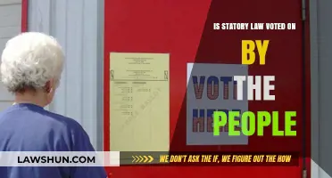 Do Citizens Vote on Statutory Laws? Understanding Legislative Processes
