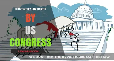 How Congress Shapes Statutory Law